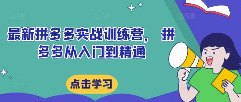 最新拼多多实战训练营， 拼多多从入门到精通-副业城