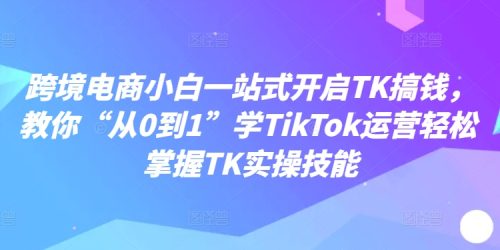 跨境电商小白一站式开启TK搞钱，教你“从0到1”学TikTok运营轻松掌握TK实操技能-副业城