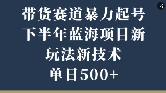 带货赛道暴力起号，下半年蓝海项目，新玩法新技术，单日500+-副业城