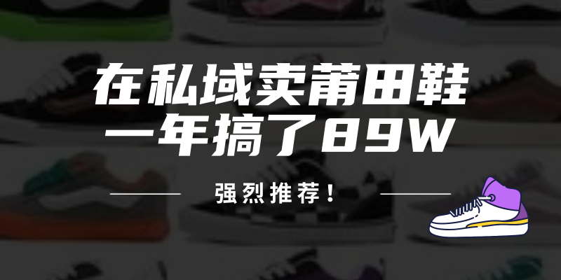 （12370期）24年在私域卖莆田鞋，一年搞了89W，强烈推荐！-副业城