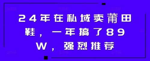 24年在私域卖莆田鞋，一年搞了89W，强烈推荐-副业城