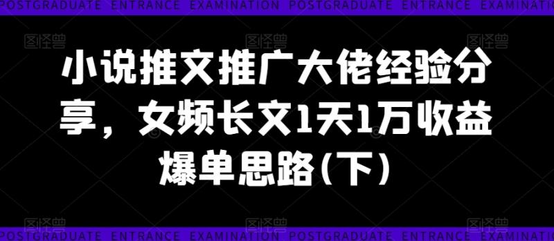 小说推文推广大佬经验分享，女频长文1天1万收益爆单思路(下)-副业城