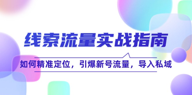 （12382期）线 索 流 量-实战指南：如何精准定位，引爆新号流量，导入私域-副业城