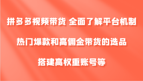 拼多多视频带货 全面了解平台机制、热门爆款和高佣金带货的选品，搭建高权重账号等-副业城