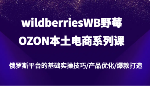 wildberriesWB野莓/OZON本土电商系列课，俄罗斯平台的基础实操技巧/产品优化/爆款打造-副业城