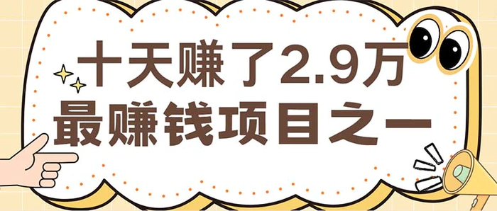 （12491期）闲鱼小红书赚钱项目之一，轻松月入6万+项目-副业城