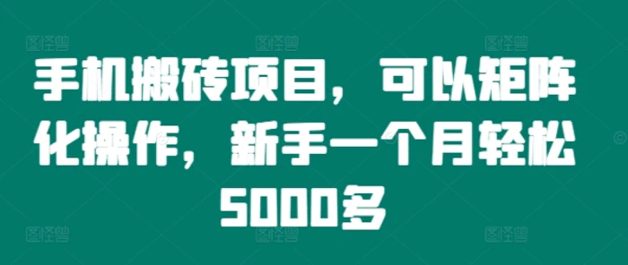 手机搬砖项目，可以矩阵化操作，新手一个月轻松5000多-副业城