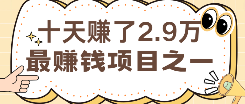 闲鱼小红书最赚钱项目之一，轻松月入6万+-副业城