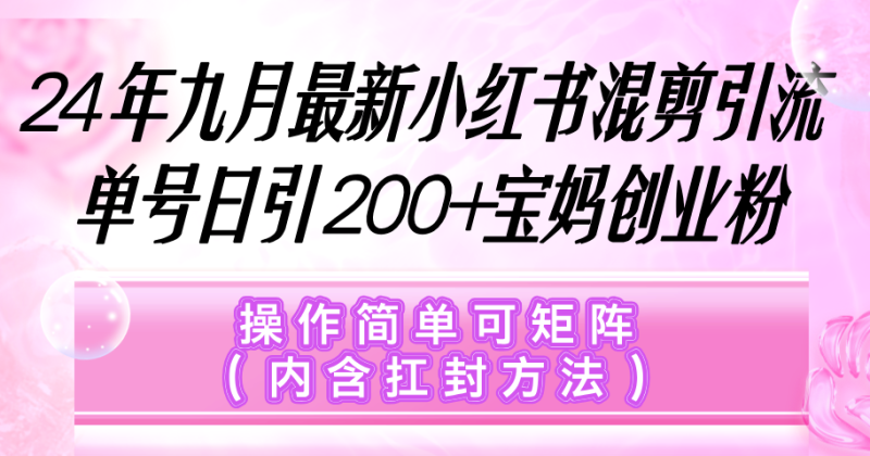 （12530期）小红书混剪引流，单号日引200+宝妈创业粉，操作简单可矩阵（内含扛封方法）-副业城