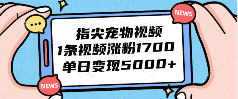 （12549期）指尖宠物视频，1条视频涨粉1700，单日变现5000+-副业城