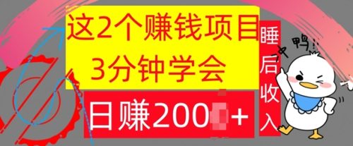 这2个项目,3分钟学会,日赚几张,懒人捡钱-副业城