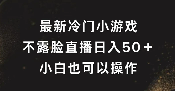 最新冷门游戏不露脸直播，轻松日入50+，小白也可操作-副业城