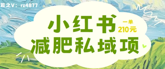 小红书减肥粉，私域变现项目，一单就达210元，小白也能轻松上手【揭秘】-副业城