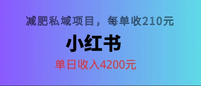 小红书减肥私域项目，每单210元，单日可卖出15单，利润3150-副业城