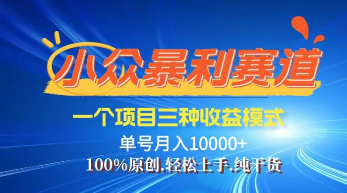 （12579期）【老人言】-视频号爆火赛道，三种变现方式，0粉新号调调爆款-副业城