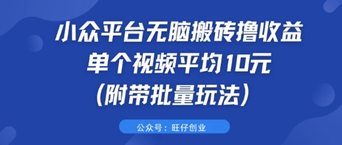 小众平台无脑搬砖撸收益 单个视频平均10元 (附带批量玩法)-副业城
