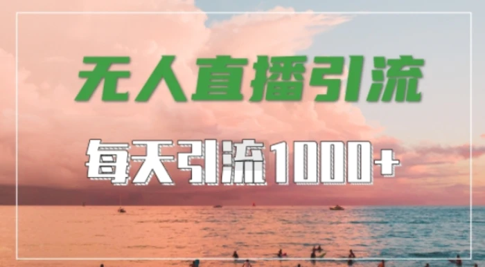 抖音快手视频号全平台通用，无人直播引流法，超暴力引流1000+高质量精准创业粉-副业城