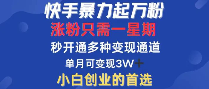 （12651期）快手暴力起万粉，涨粉只需一星期，多种变现模式，直接秒开万合，小白创业的首选-副业城