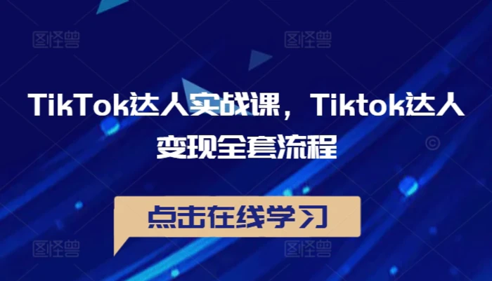 TikTok达人实战课，Tiktok达人变现全套流程-副业城