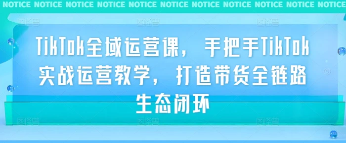 TikTok全域运营课，手把手TikTok实战运营教学，打造带货全链路生态闭环-副业城