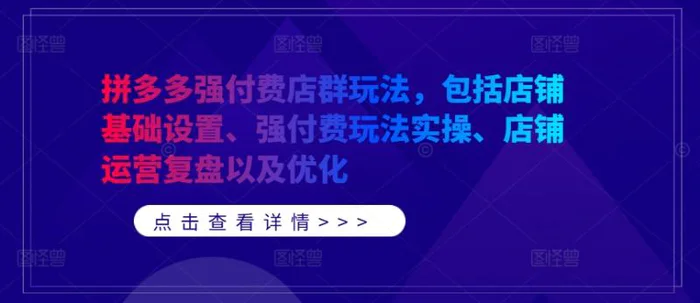 拼多多强付费店群玩法，包括店铺基础设置、强付费玩法实操、店铺运营复盘以及优化-副业城