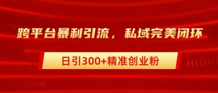 跨平台暴力引流，私域完美闭环，日引100+精准创业粉-副业城