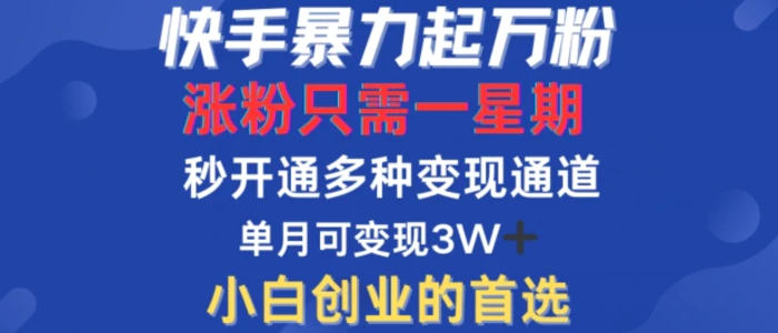 快手暴力起万粉，涨粉只需一星期，多种变现模式，直接秒开万合，单月变现过W【揭秘】-副业城