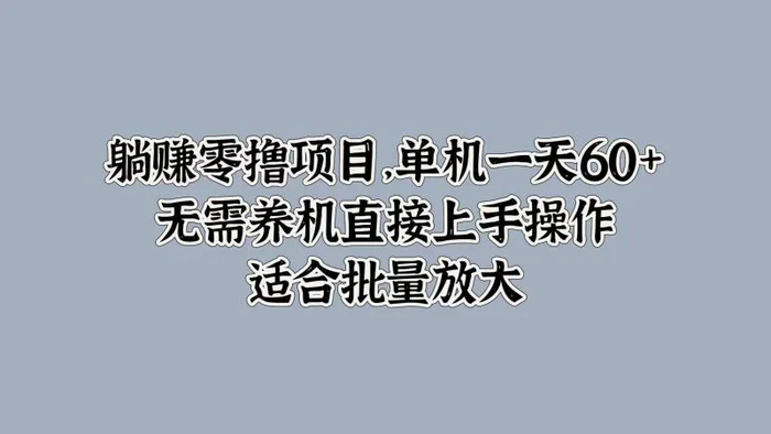 躺赚零撸项目，单机一天60+，无需养机直接上手操作，适合批量放大-副业城