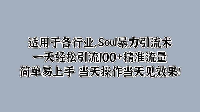 Soul暴力引流术，一天轻松引流100+精准流量，简单易上手 当天操作当天见效果!-副业城