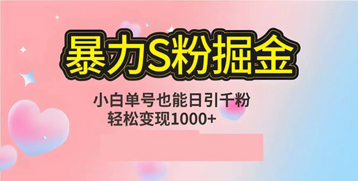 （12778期）单人单机日引千粉，变现1000+，S粉流量掘金计划攻略-副业城