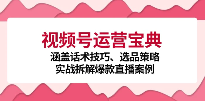 视频号运营宝典：涵盖话术技巧、选品策略、实战拆解爆款直播案例-副业城