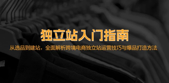 独立站入门指南：从选品到建站，全面解析跨境电商独立站运营技巧与爆品打造方法-副业城