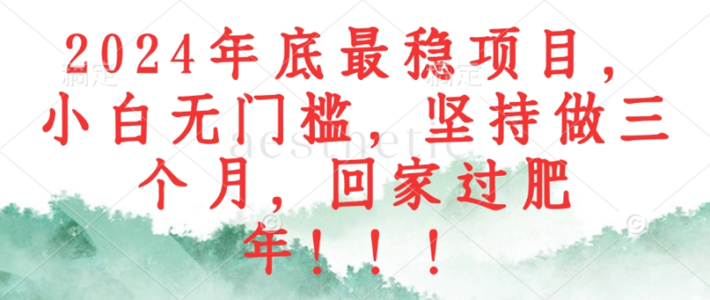 （12970期）2024年底最稳项目，小白无门槛，坚持做三个月，回家过肥年！！！-副业城