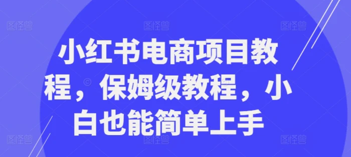 小红书电商项目教程，保姆级教程，小白也能简单上手-副业城