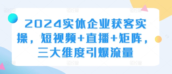 2024实体企业获客实操，短视频+直播+矩阵，三大维度引爆流量-副业城