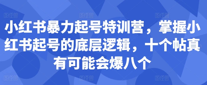 小红书暴力起号特训营，掌握小红书起号的底层逻辑，十个帖真有可能会爆八个-副业城