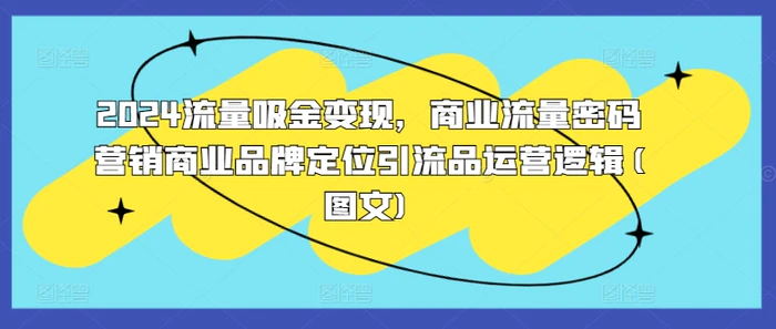 2024流量吸金变现，商业流量密码营销商业品牌定位引流品运营逻辑(图文)-副业城