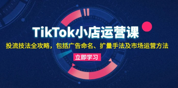 （13063期）TikTok小店运营课：投流技法全攻略，包括广告命名 扩量手法及市场运营方法-副业城