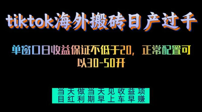 （13079期）tiktok海外搬砖项目单机日产过千当天做当天见收益-副业城