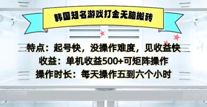 （13066期）韩国知名游戏打金无脑搬砖单机收益500-副业城