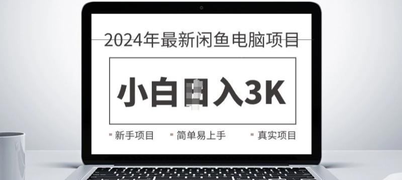 2024最新闲鱼电脑项目，动手就能吃肉的好项目-副业城