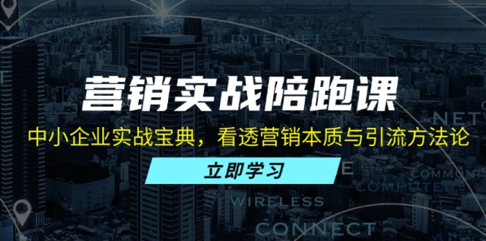 （13146期）营销实战陪跑课：中小企业实战宝典，看透营销本质与引流方法论-副业城