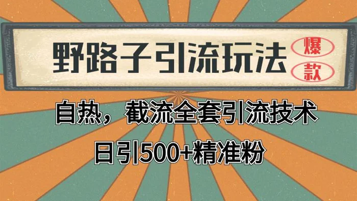 抖音小红书视频号全平台引流打法，全自动引流日引2000+精准客户-副业城