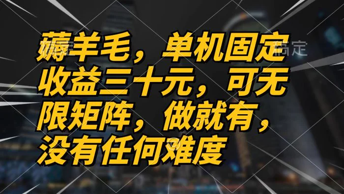 （13162期）薅羊毛项目，单机三十元，做就有，可无限矩阵 无任何难度-副业城