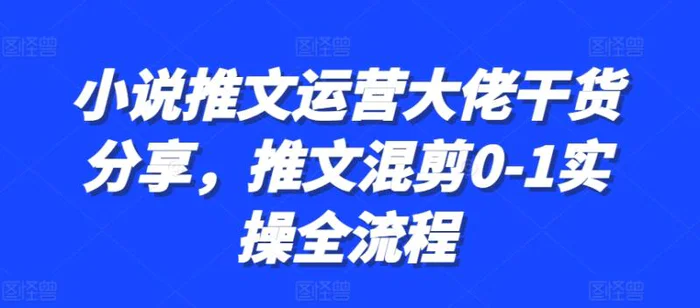 小说推文运营大佬干货分享，推文混剪0-1实操全流程-副业城