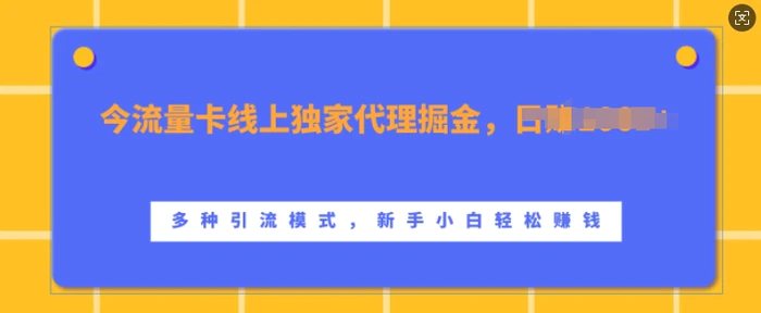 流量卡线上独家代理掘金，日入1k+ ，多种引流模式，新手小白轻松上手【揭秘】-副业城