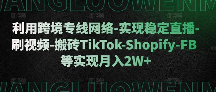 利用跨境专线网络-实现稳定直播-刷视频-搬砖TikTok-Shopify-FB等实现月入2W+【揭秘】-副业城