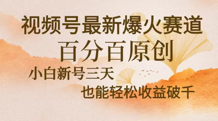 （13225期）视频号最新爆火赛道，中老年粉深信不疑，百分百原创，新号三天收益轻松破千-副业城