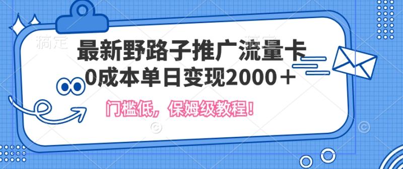 最新野路子推广流量卡，一张200-300，门槛低，0成本单日变现多张-副业城