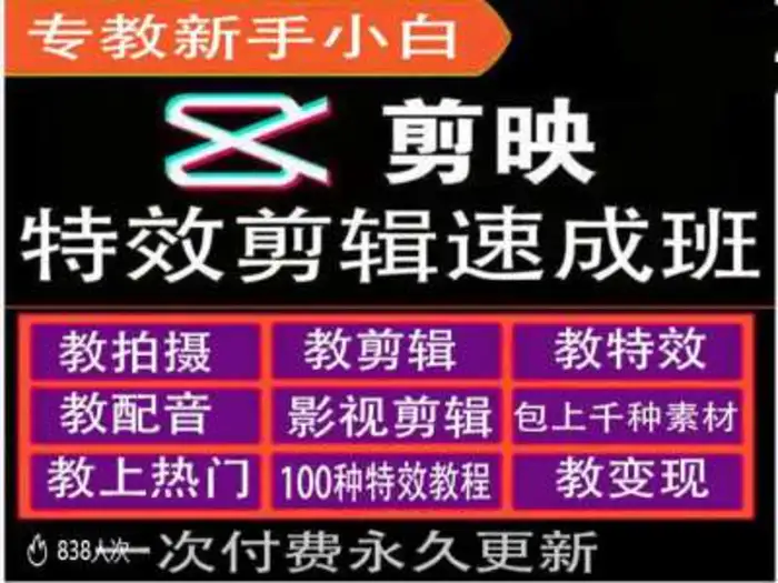 剪映特效教程和运营变现教程，特效剪辑速成班，专教新手小白-副业城